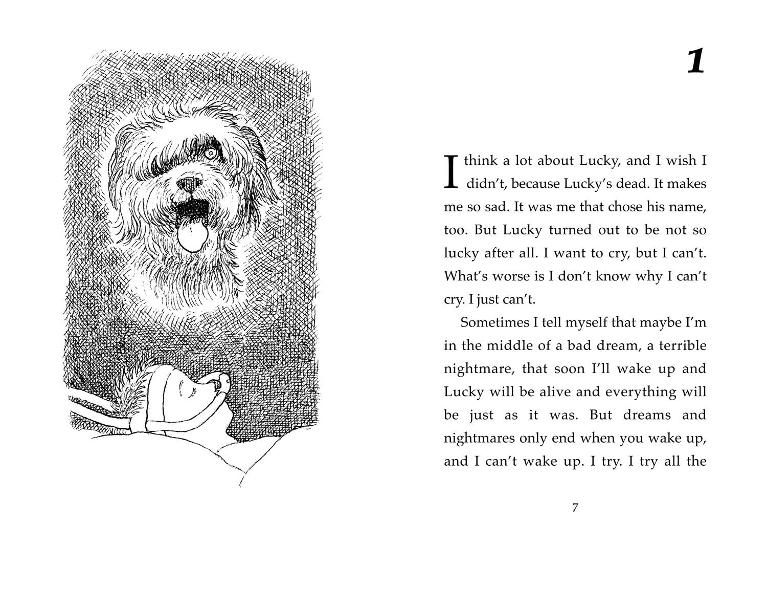 Beispielinhalt (Bild) Cool!