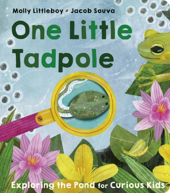 Vorderes Coverbild One Little Tadpole