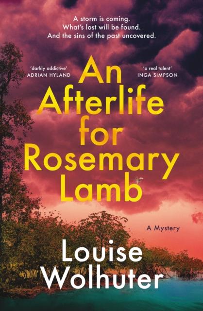 Vorderes Coverbild An Afterlife for Rosemary Lamb