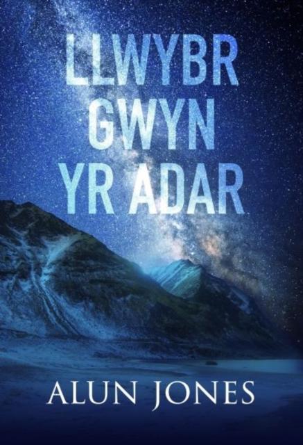 Vorderes Coverbild Llwybr Gwyn yr Adar
