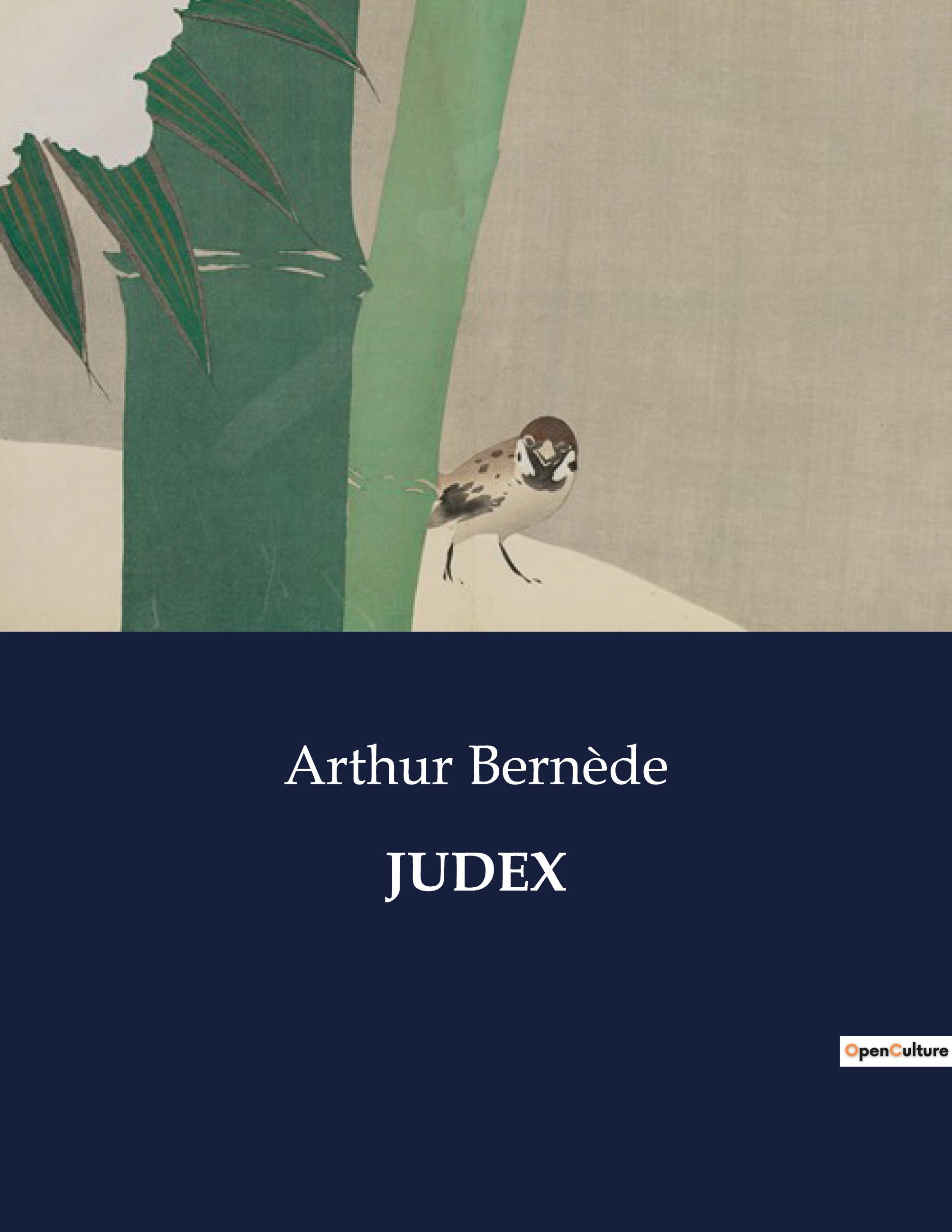 Vorderes Coverbild JUDEX