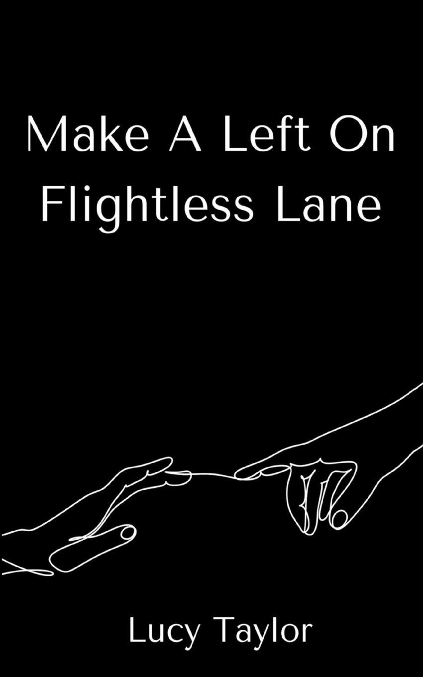 Vorderes Coverbild Make A Left On Flightless Lane
