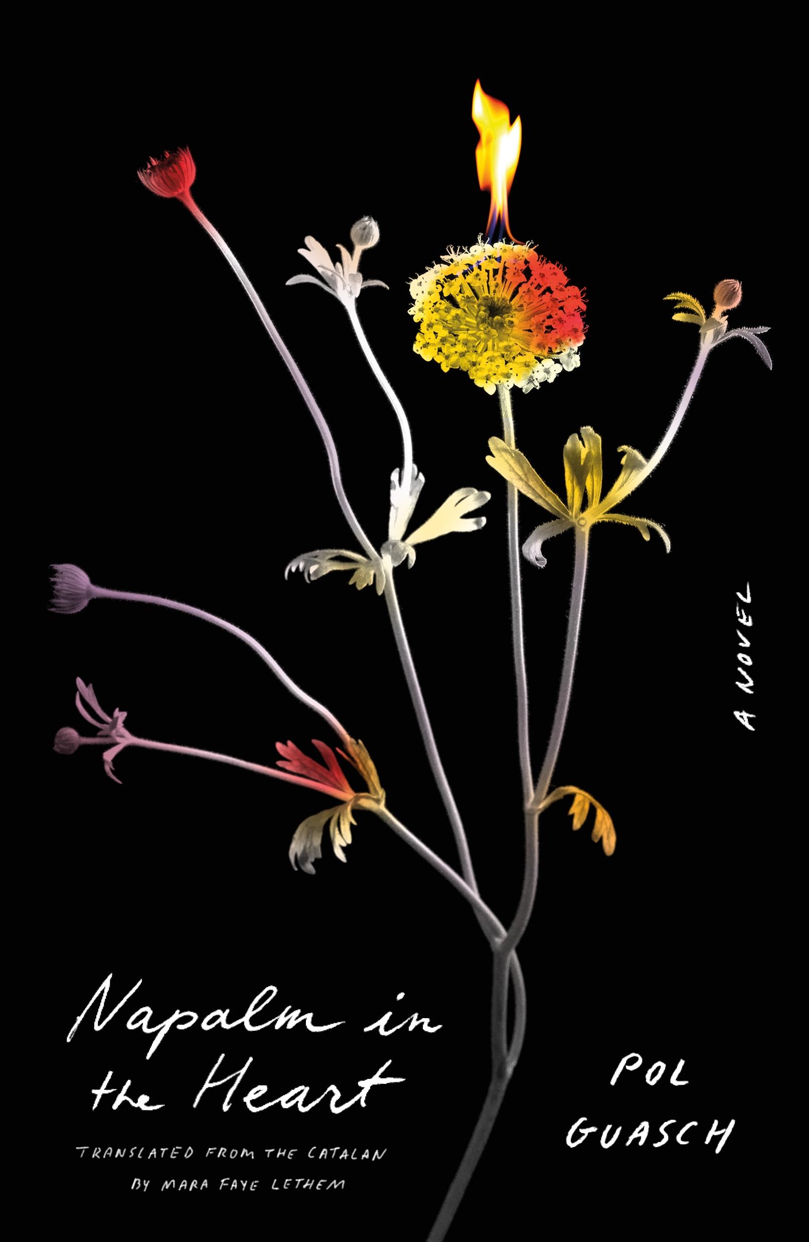 Autorenbild Napalm in the Heart