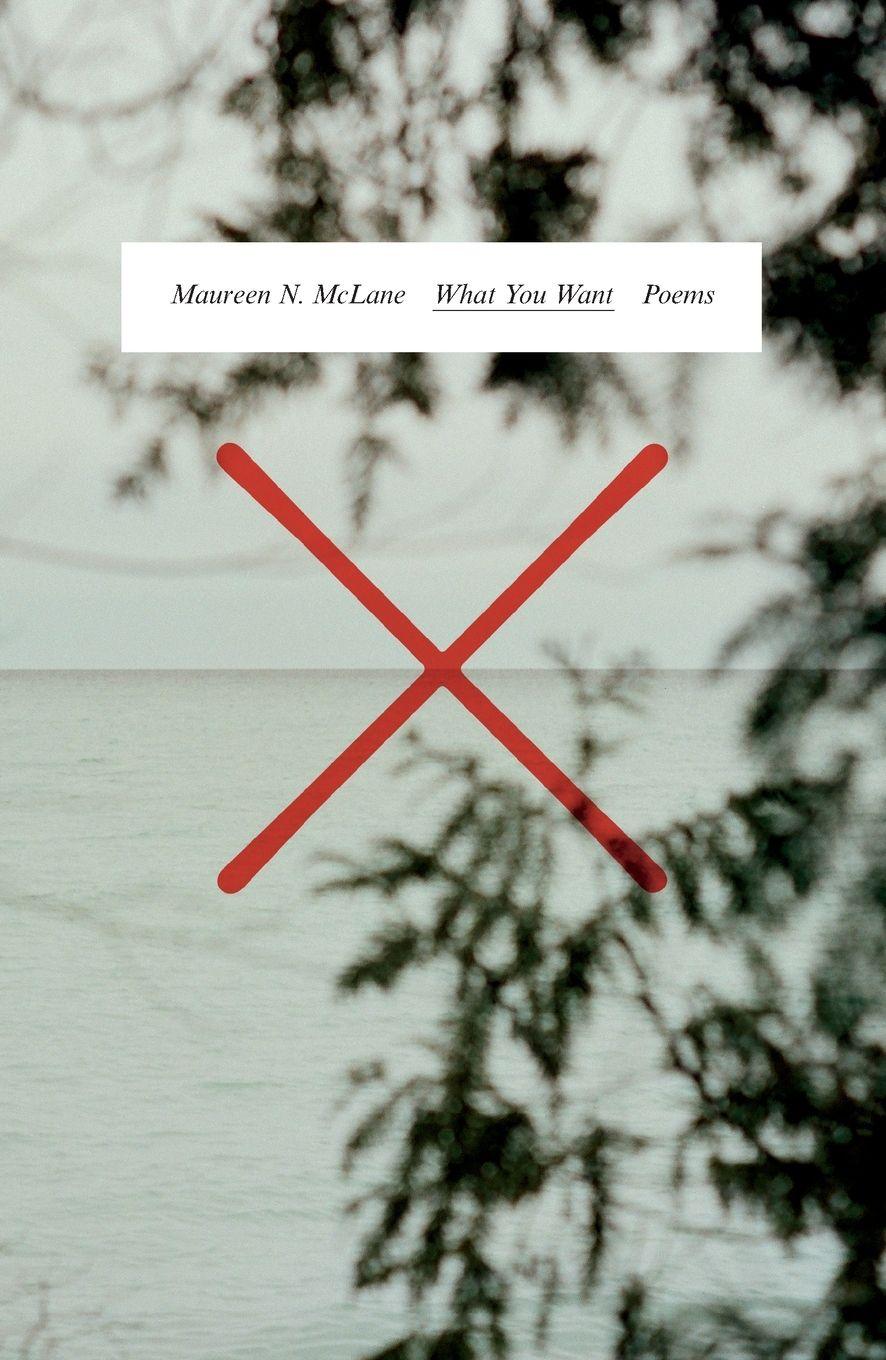 Vorderes Coverbild What You Want