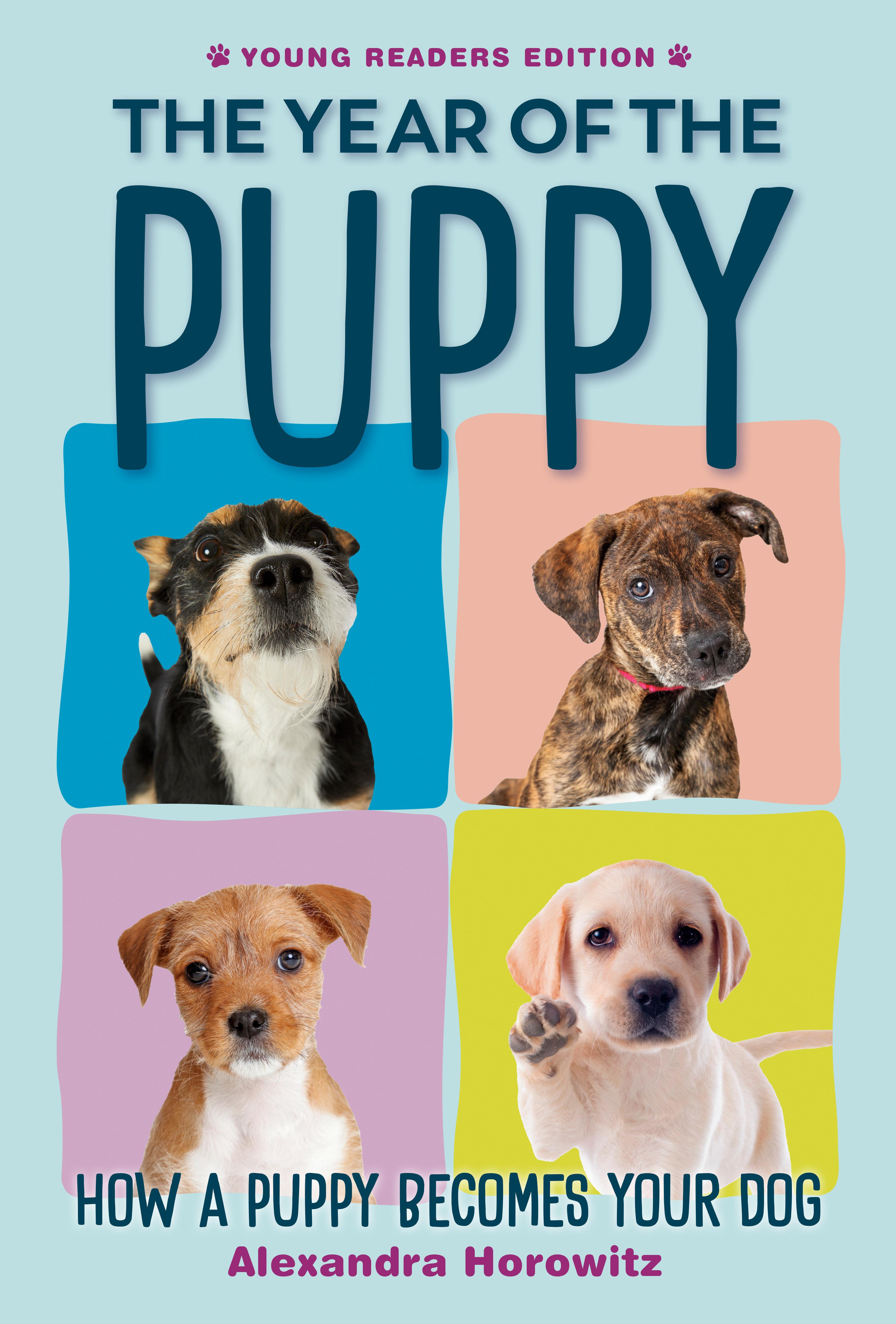 Vorderes Coverbild The Year of the Puppy