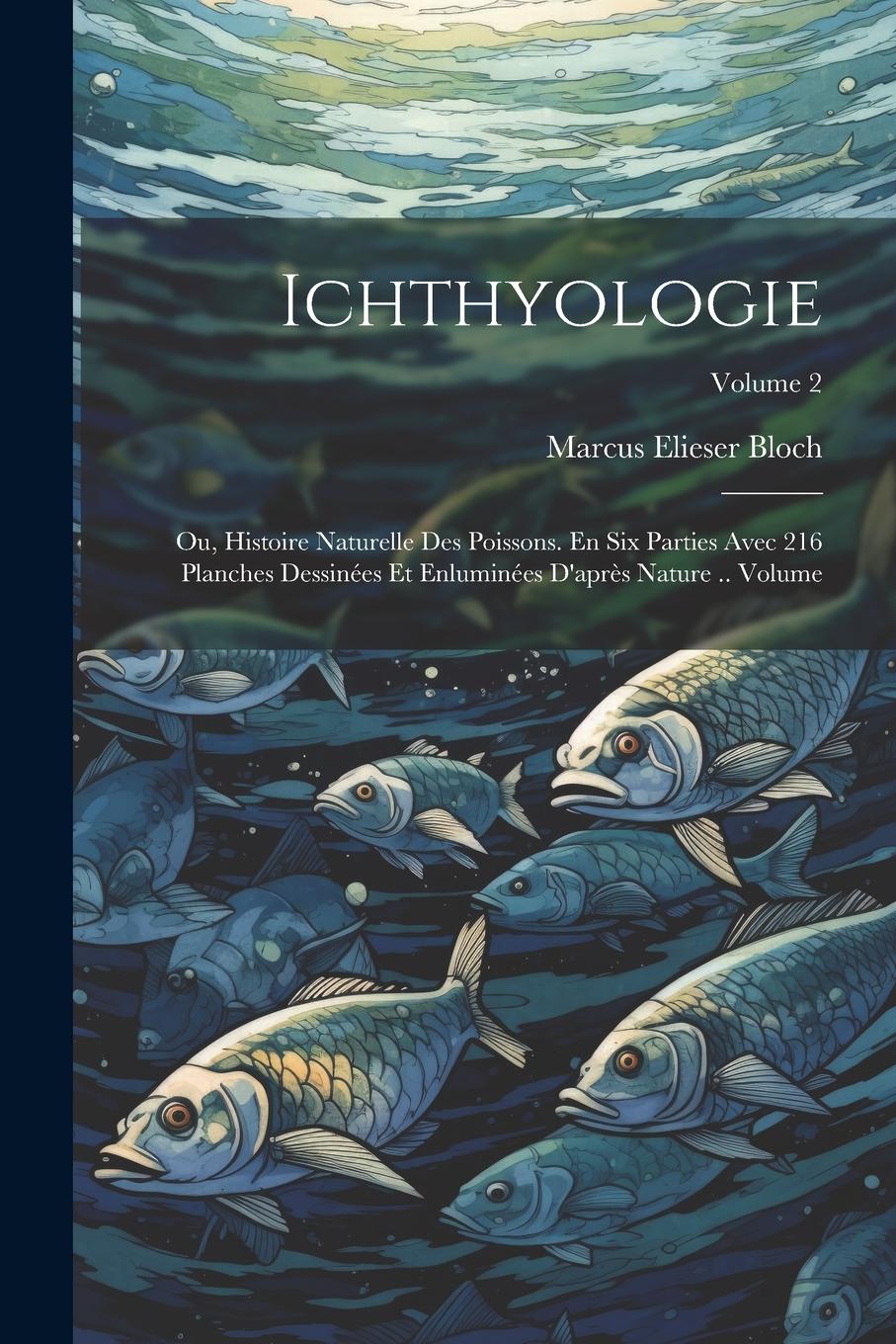 Vorderes Coverbild Ichthyologie; ou, Histoire naturelle des poissons. En six parties avec 216 planches dessinées et enluminées d'après nature .. Volume; Volume 2