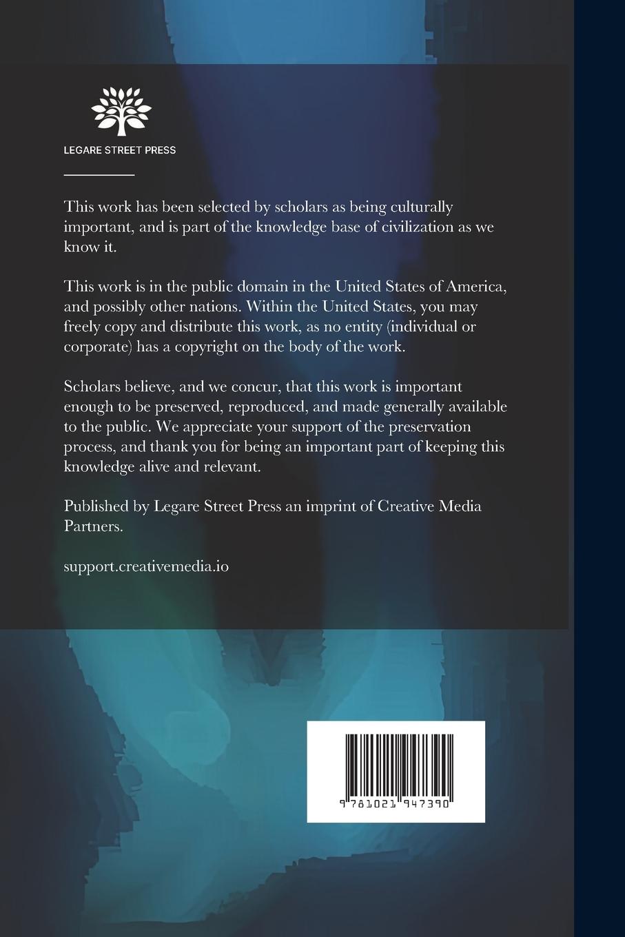 Rückseitencover The Foreign Spy