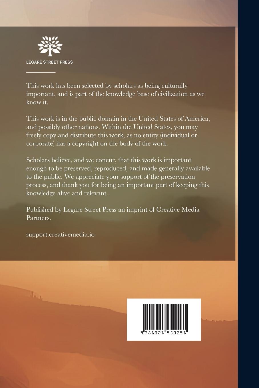 Rückseitencover The German African Empire