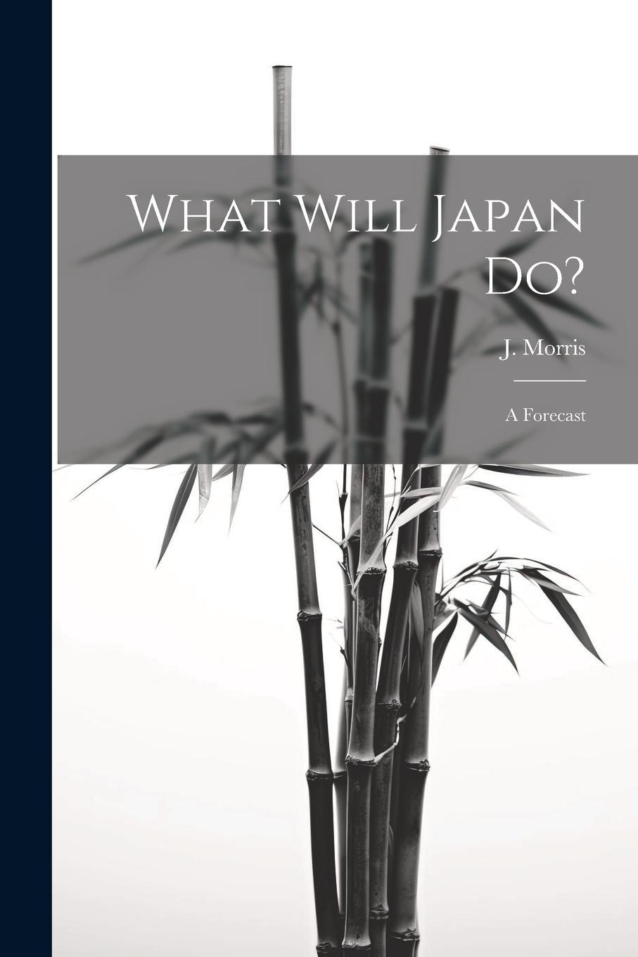 Vorderes Coverbild What Will Japan Do?: A Forecast