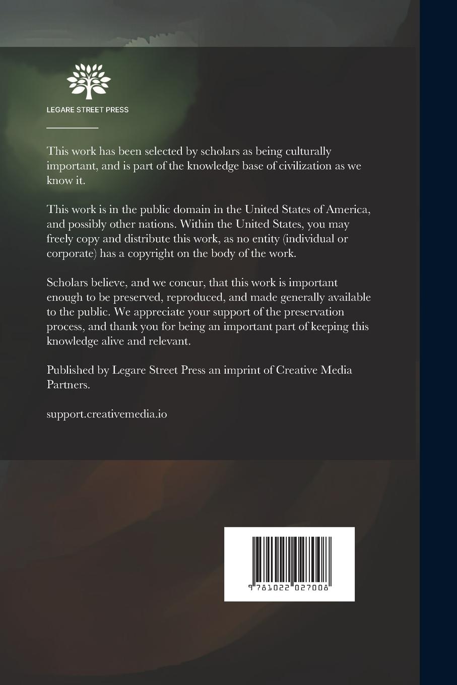 Rückseitencover Denzil Place: A Story in Verse