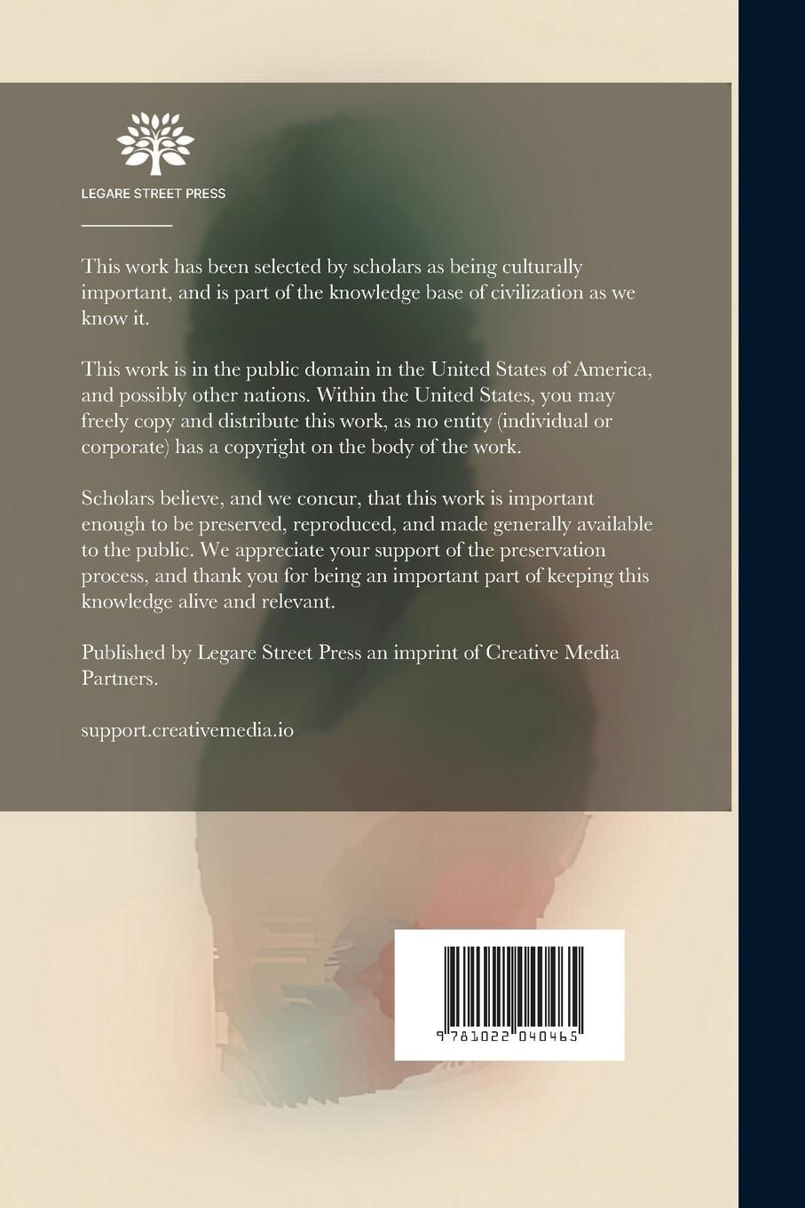 Rückseitencover Mortality Laws and Statistics