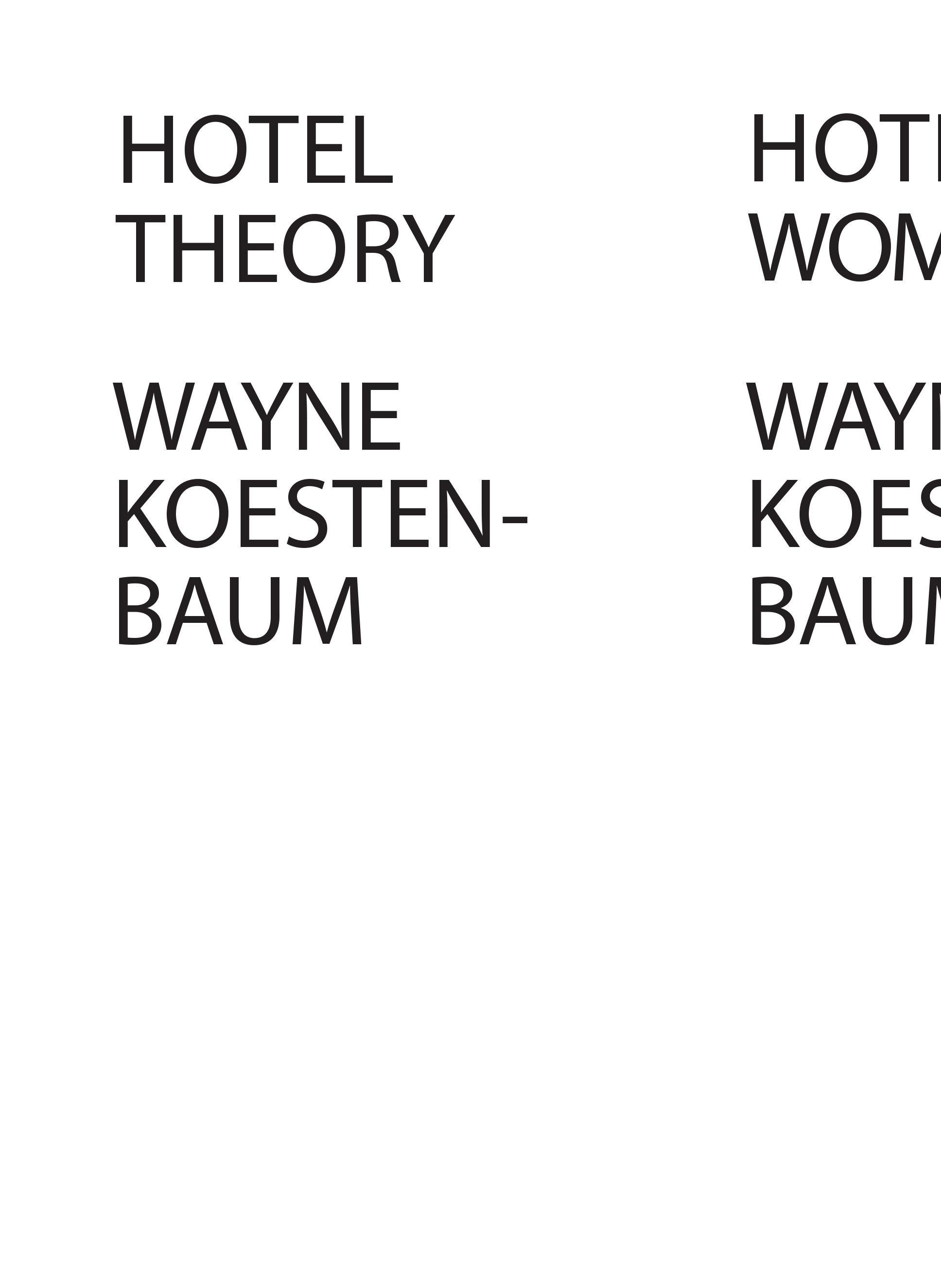 Vorderes Coverbild Hotel Theory