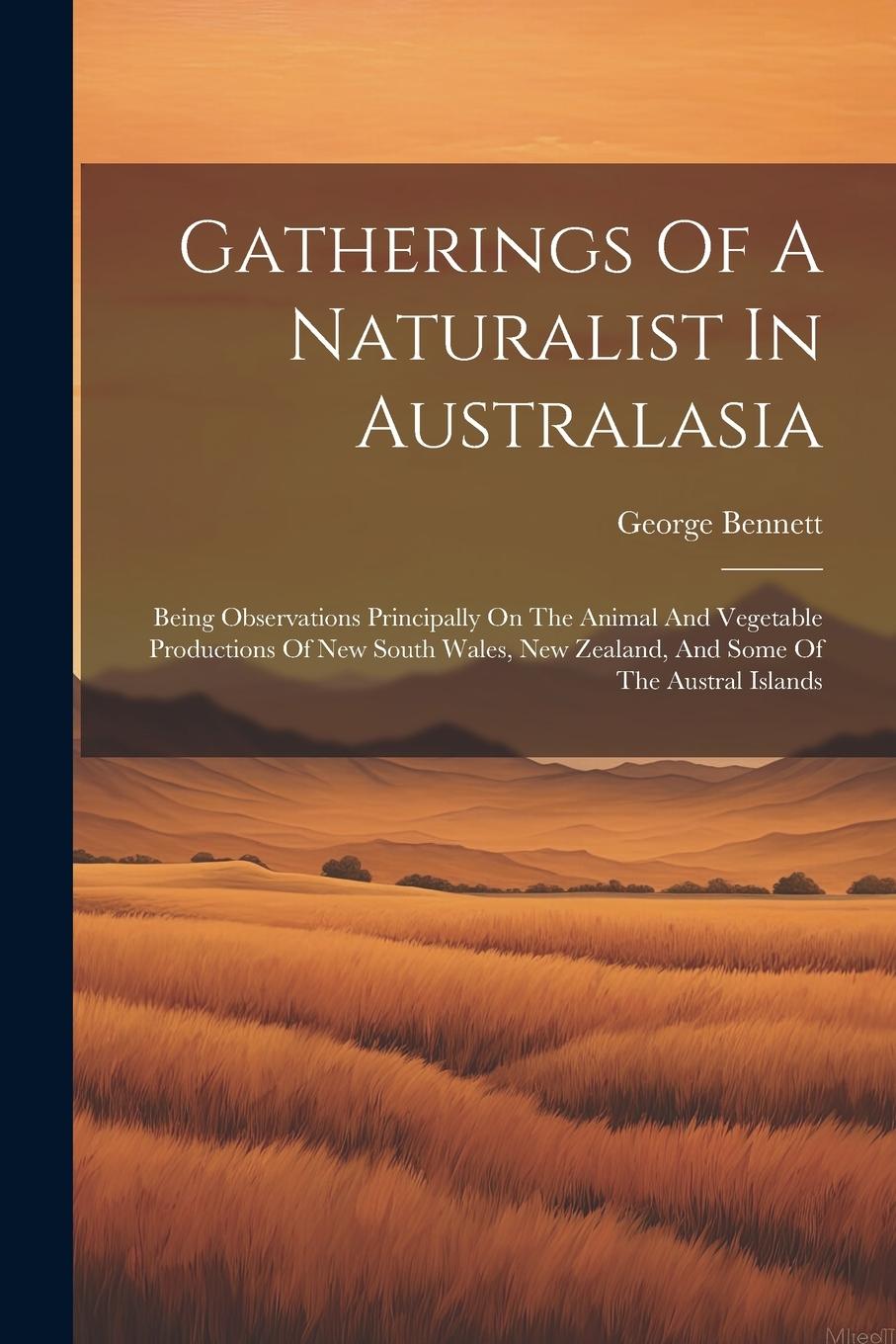 Vorderes Coverbild Gatherings Of A Naturalist In Australasia: Being Observations Principally On The Animal And Vegetable Productions Of New South Wales, New Zealand, And