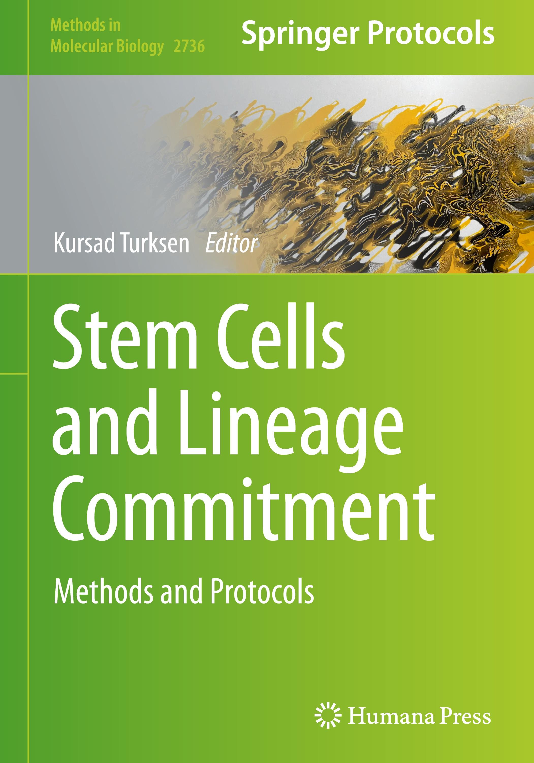 Vorderes Coverbild Stem Cells and Lineage Commitment