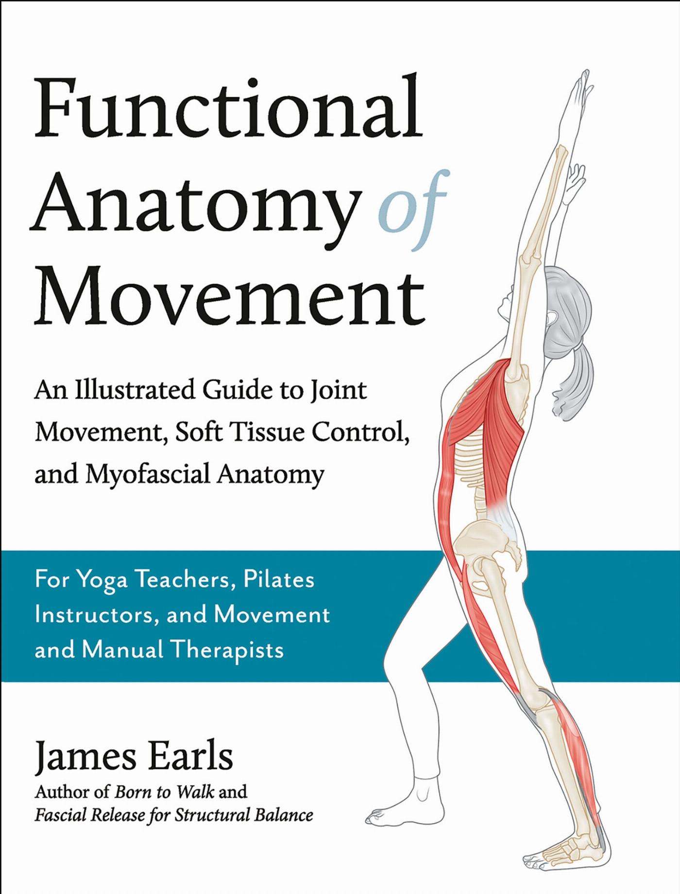 Vorderes Coverbild Functional Anatomy of Movement
