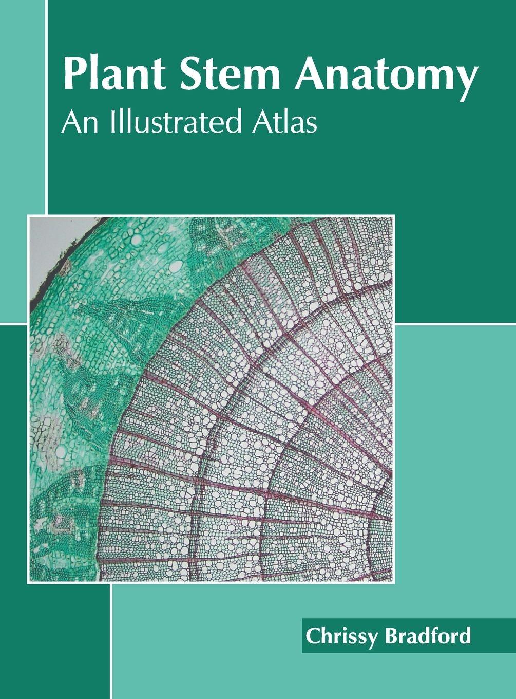 Vorderes Coverbild Plant Stem Anatomy: An Illustrated Atlas