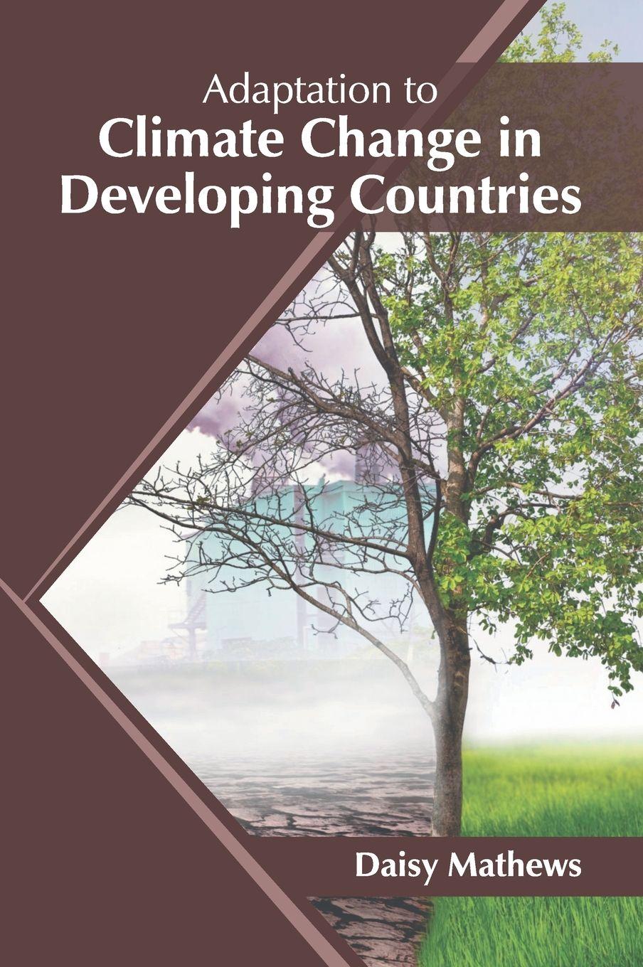 Vorderes Coverbild Adaptation to Climate Change in Developing Countries