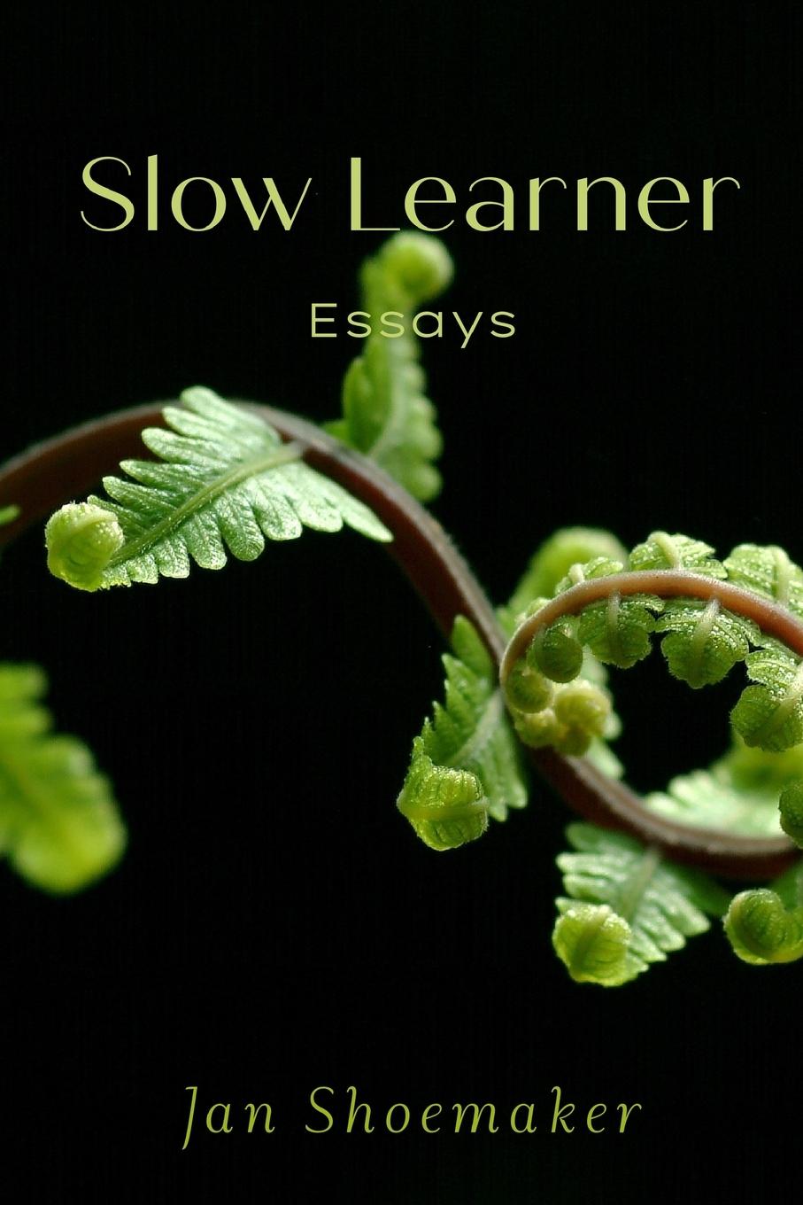 Vorderes Coverbild Slow Learner