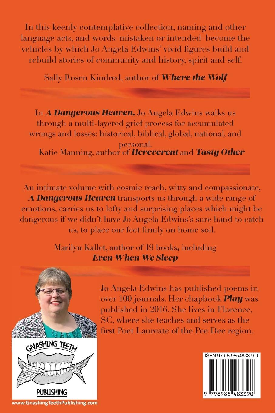 Rückseitencover A Dangerous Heaven