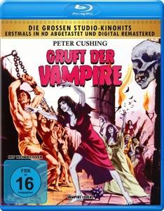Vorderes Coverbild Gruft der Vampire