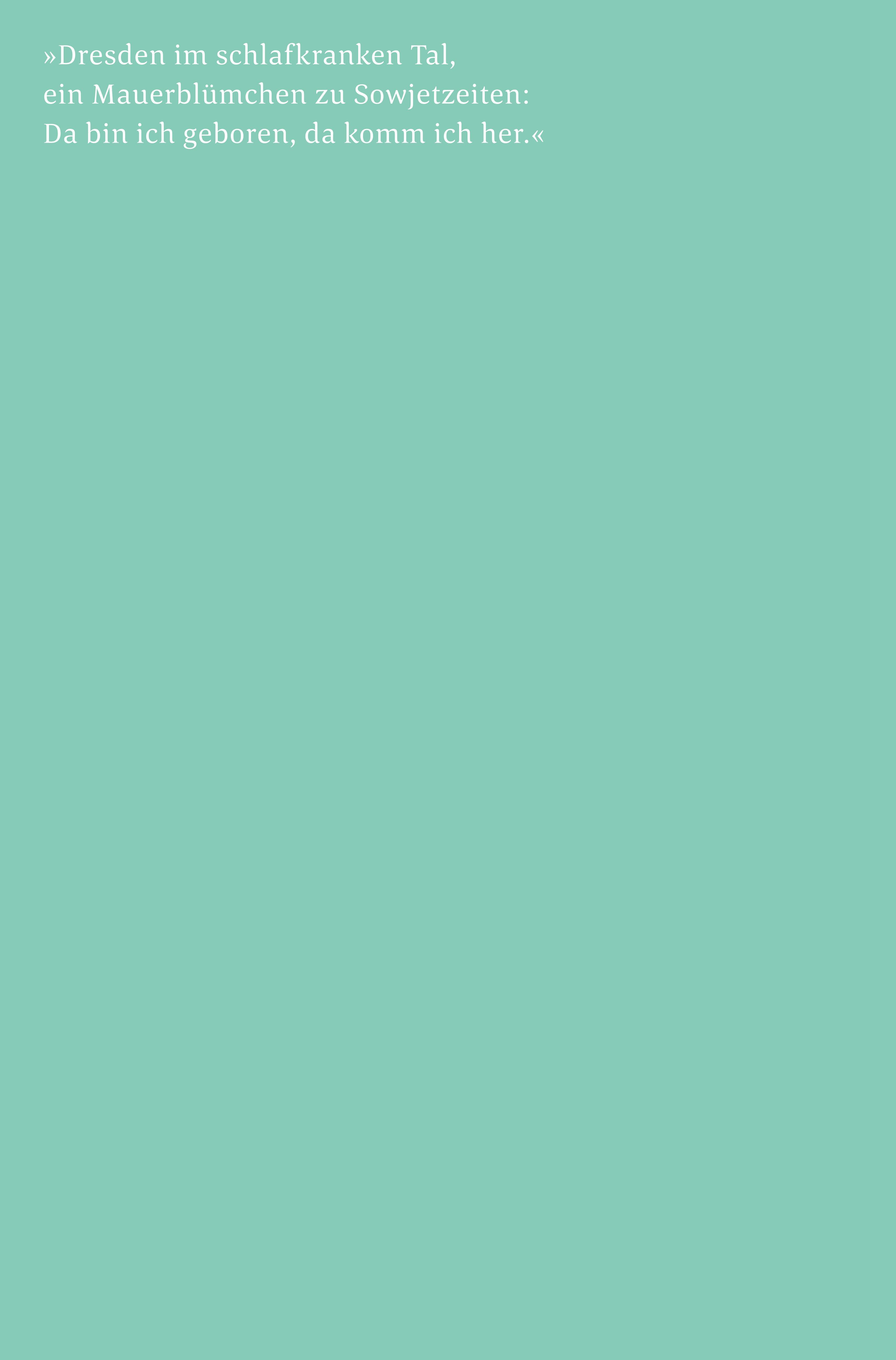 Rückseitencover Porzellan