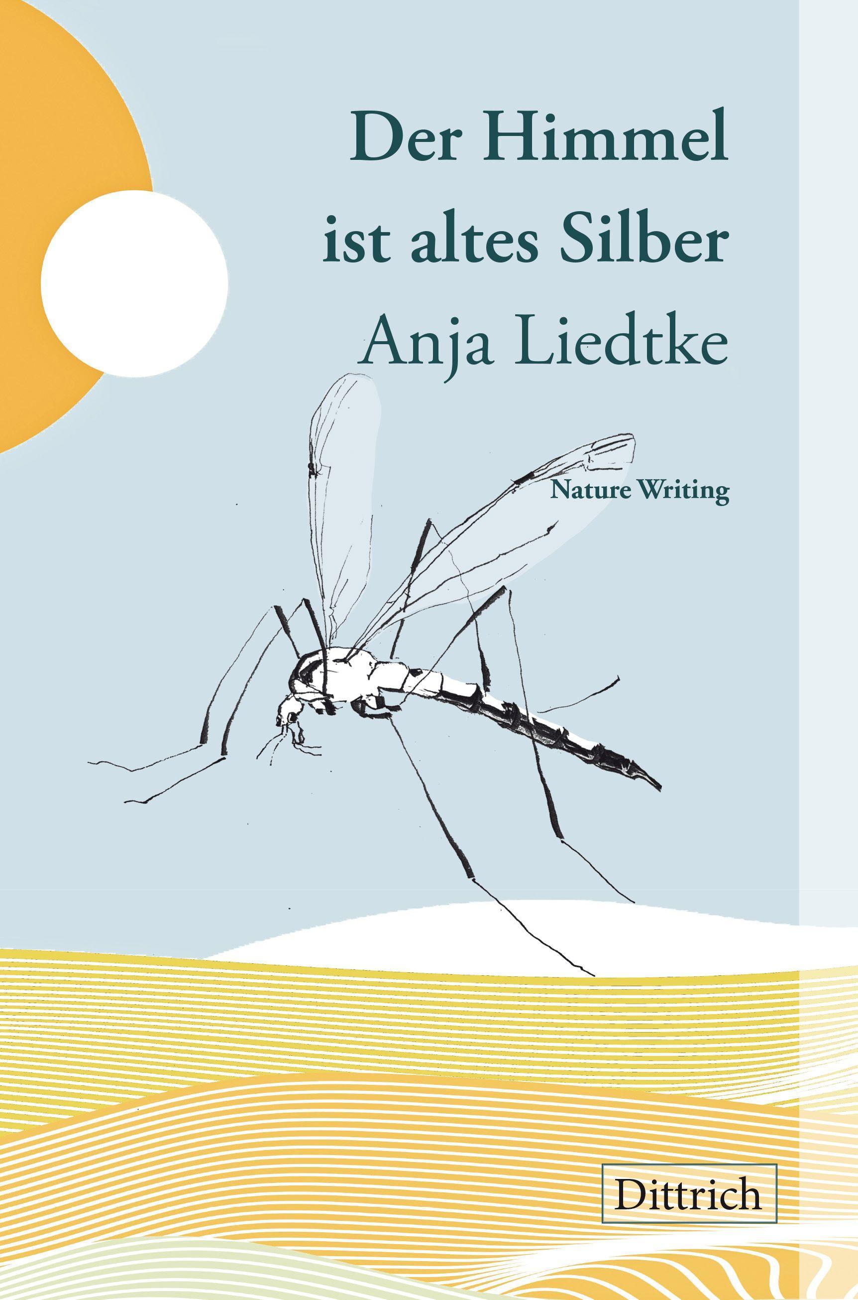 Vorderes Coverbild Der Himmel ist altes Silber