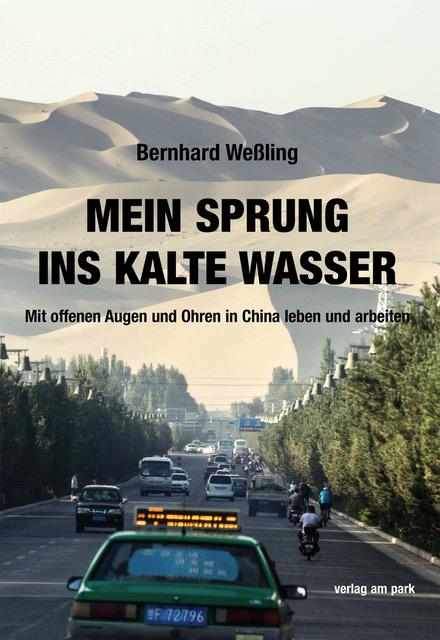 Vorderes Coverbild Mein Sprung ins kalte Wasser