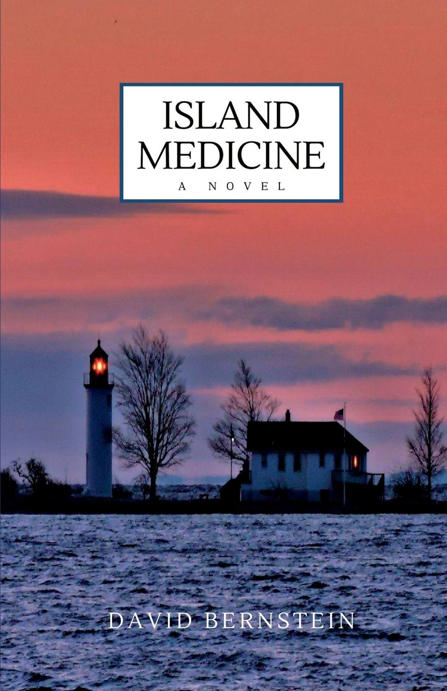 Vorderes Coverbild Island Medicine