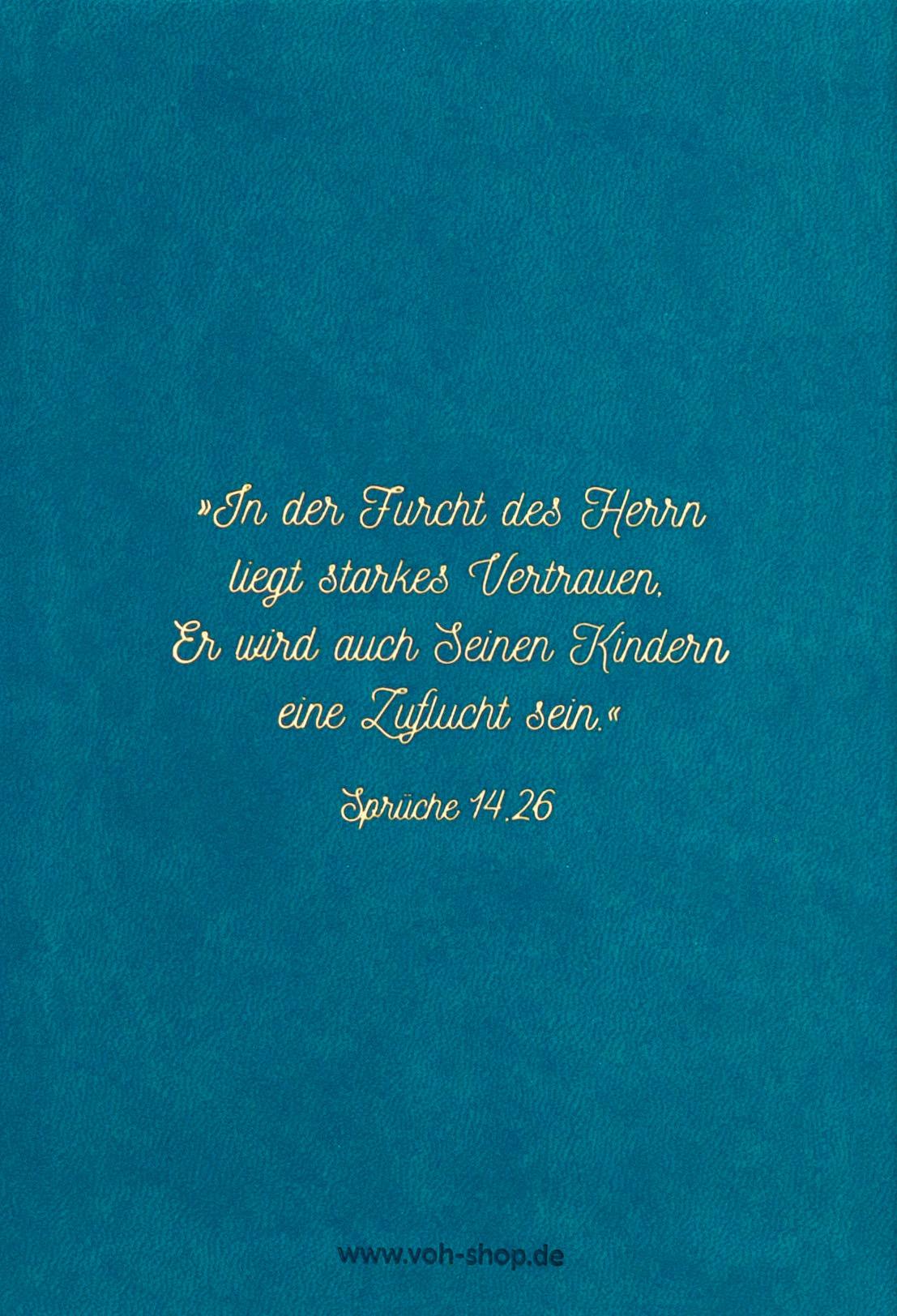 Rückseitencover Biblische Erziehung