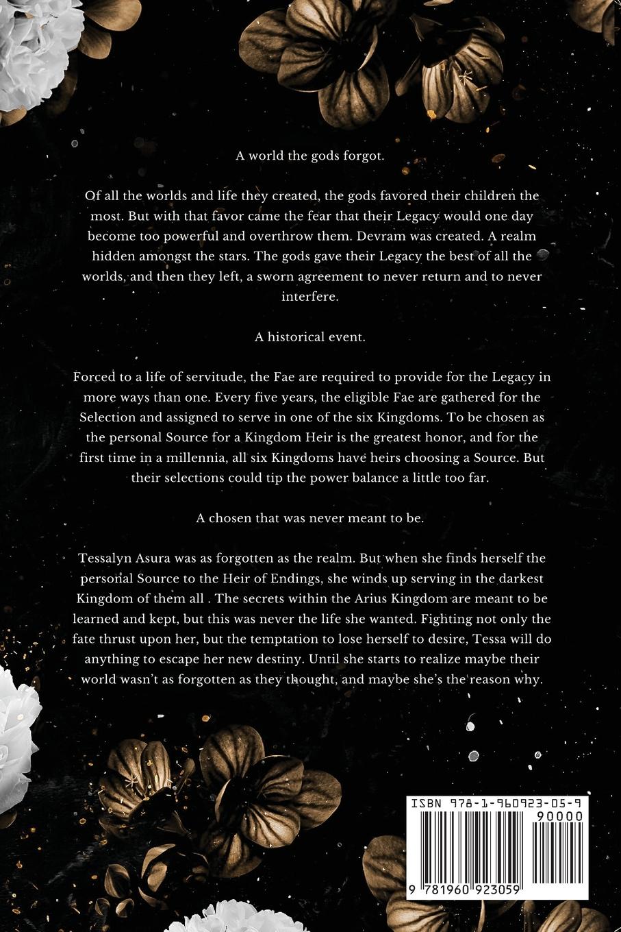 Rückseitencover Rain of Shadows and Endings