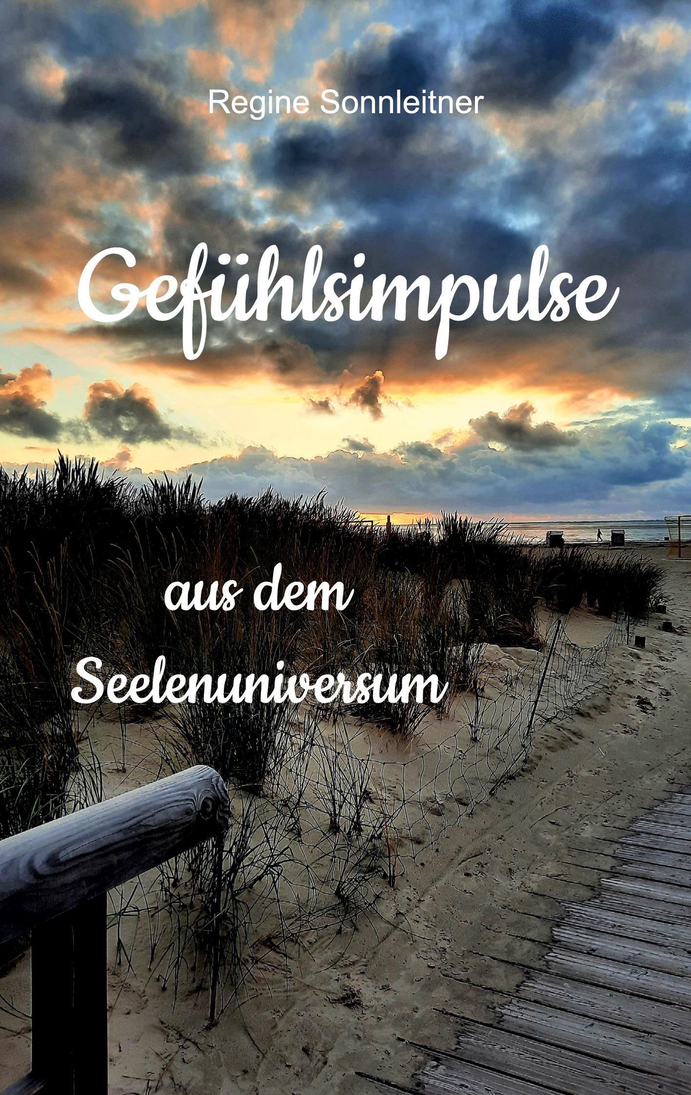 Vorderes Coverbild Gefühlsimpulse aus dem Seelenuniversum