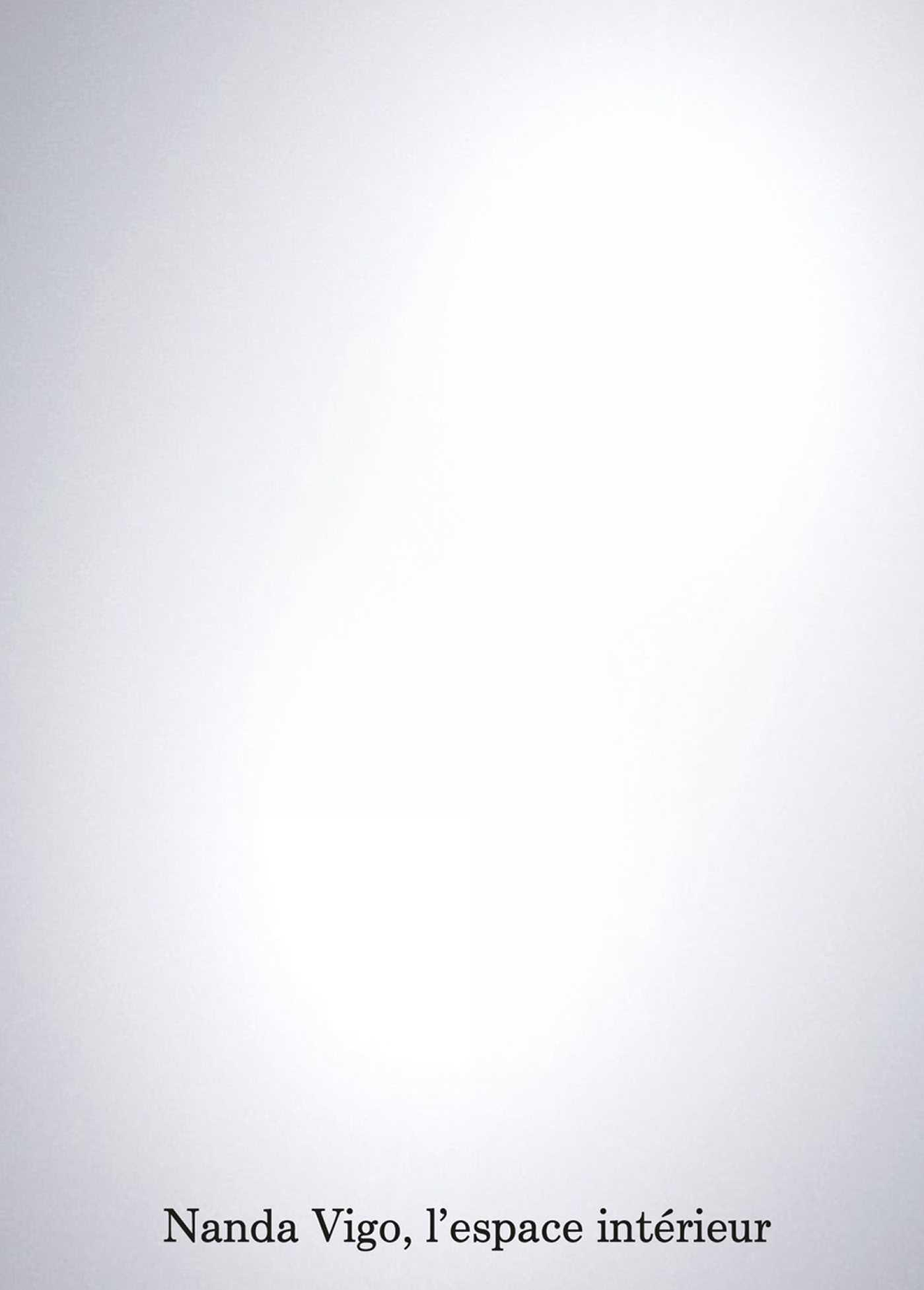 Vorderes Coverbild Nanda Vigo. l'Espace Intérieur.