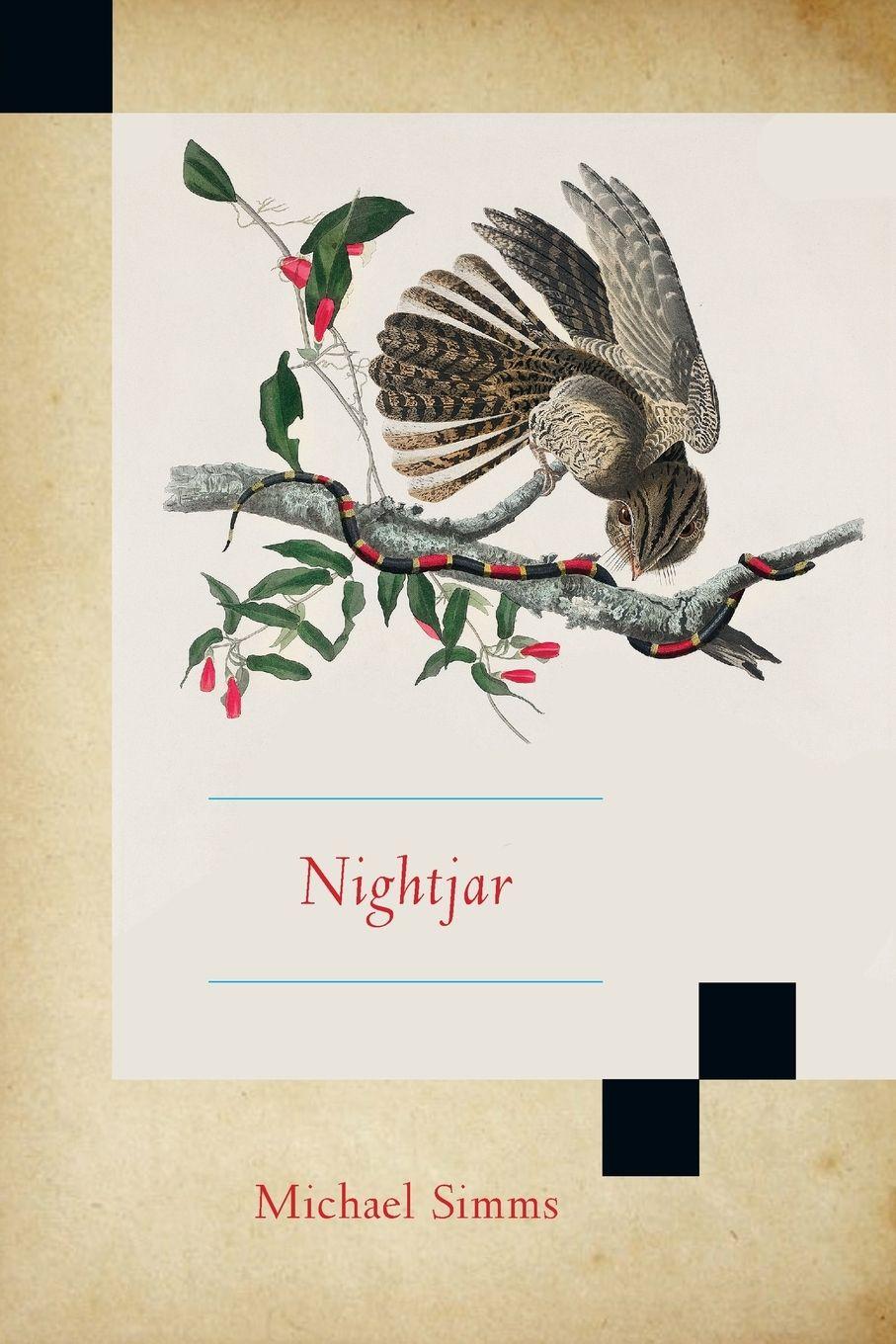 Vorderes Coverbild Nightjar