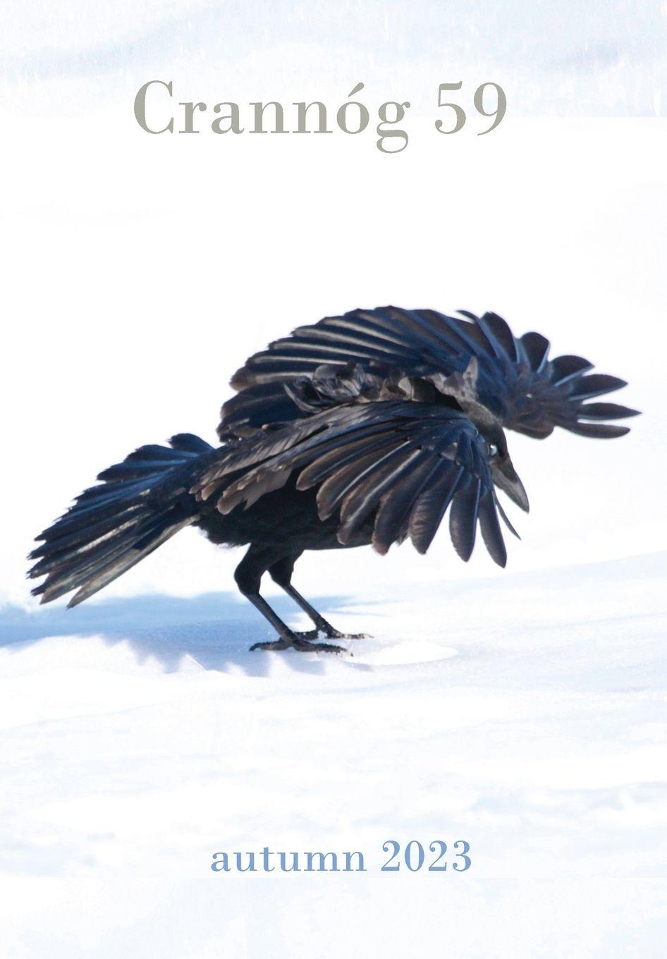 Vorderes Coverbild Crannóg 59