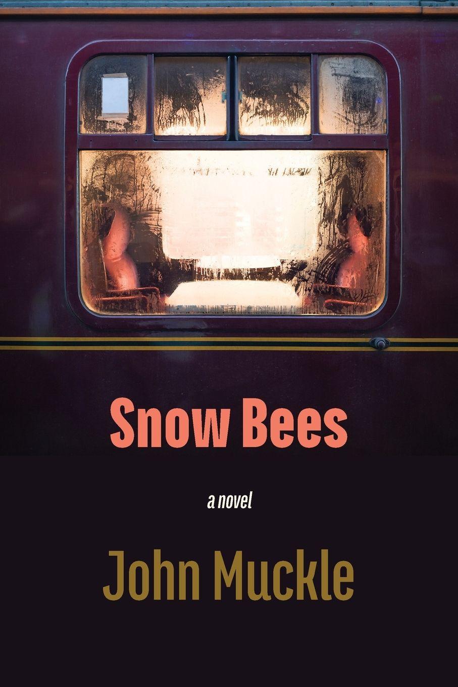 Vorderes Coverbild Snow Bees