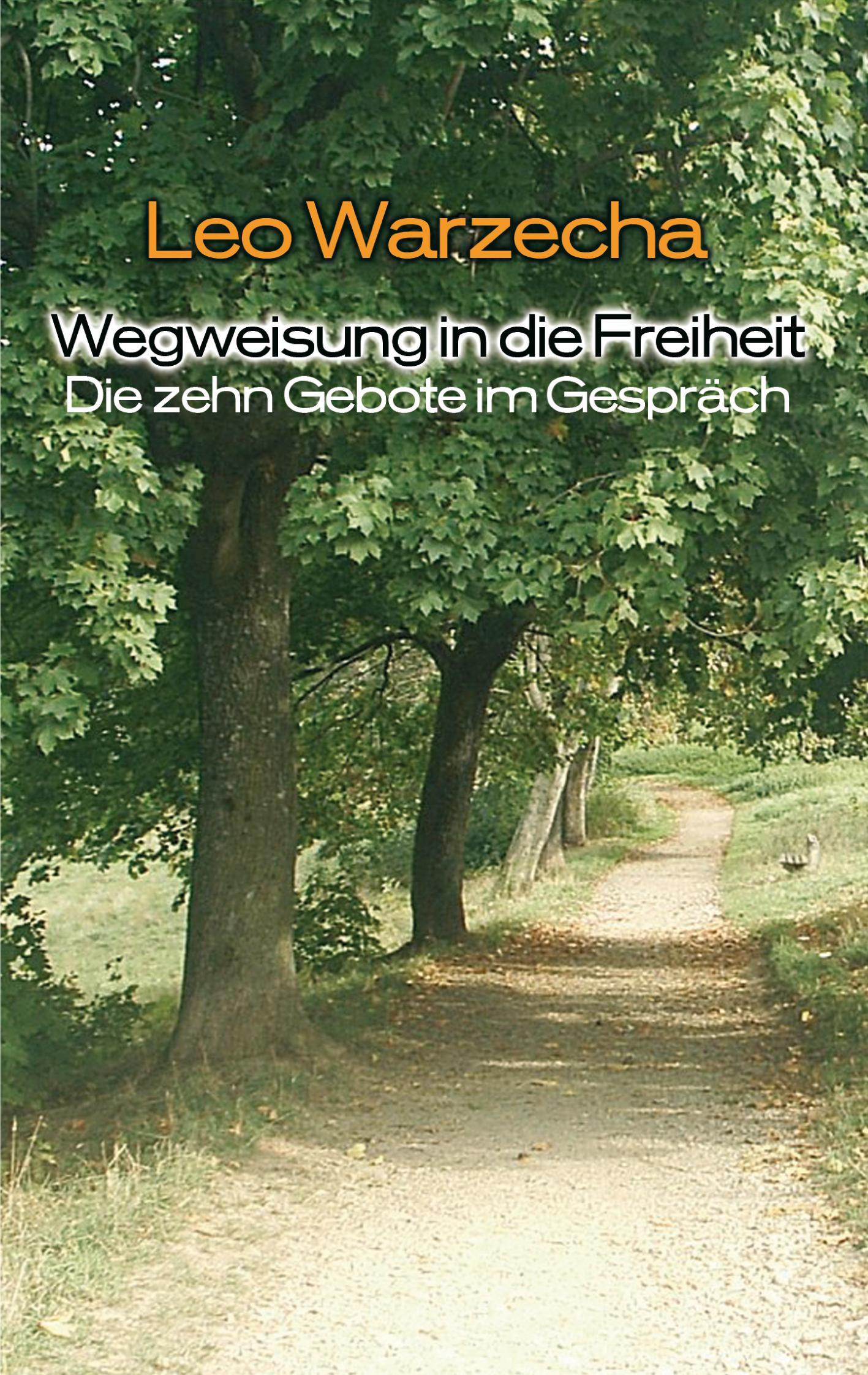 Vorderes Coverbild Wegweisung in die Freiheit