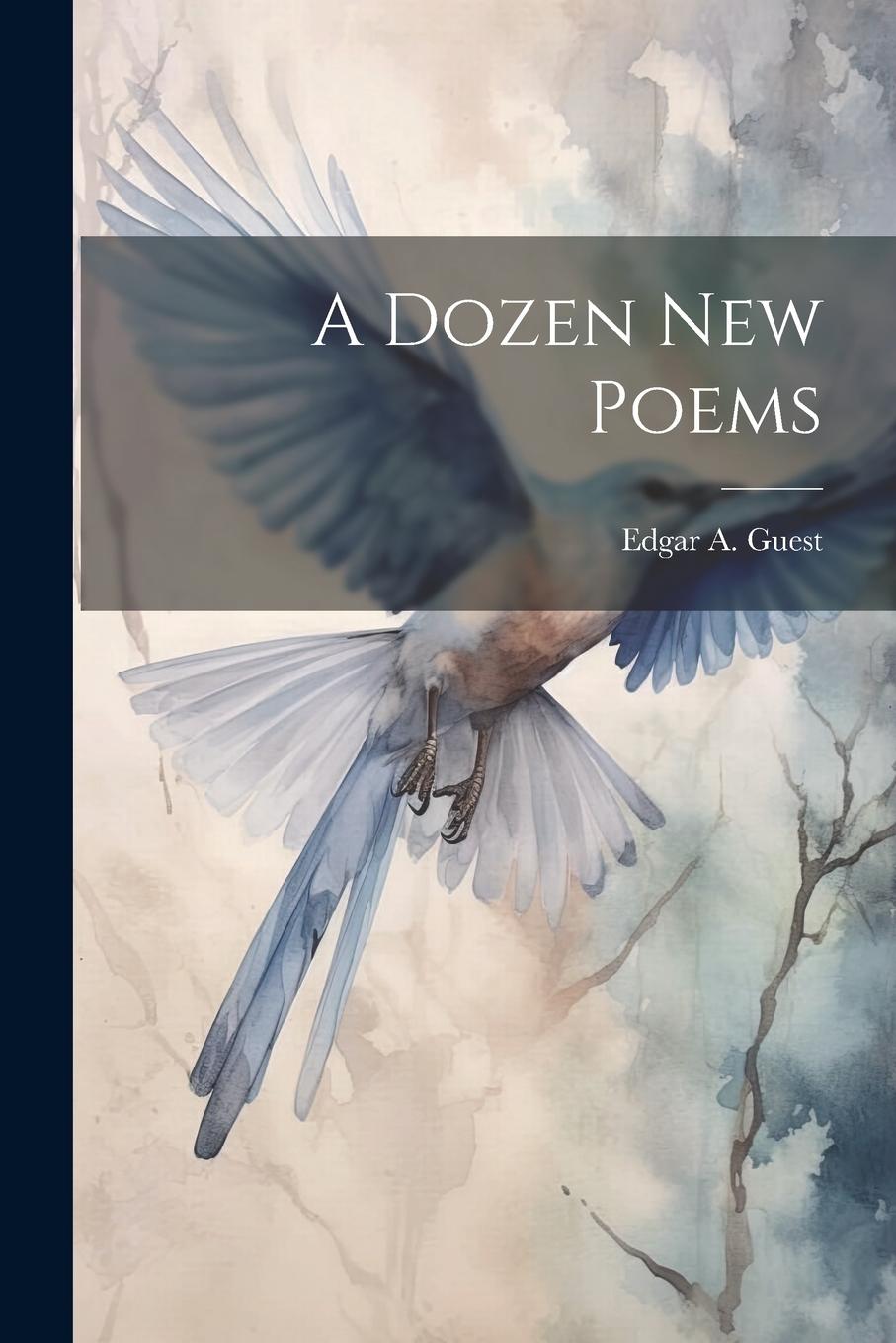 Vorderes Coverbild A Dozen new Poems