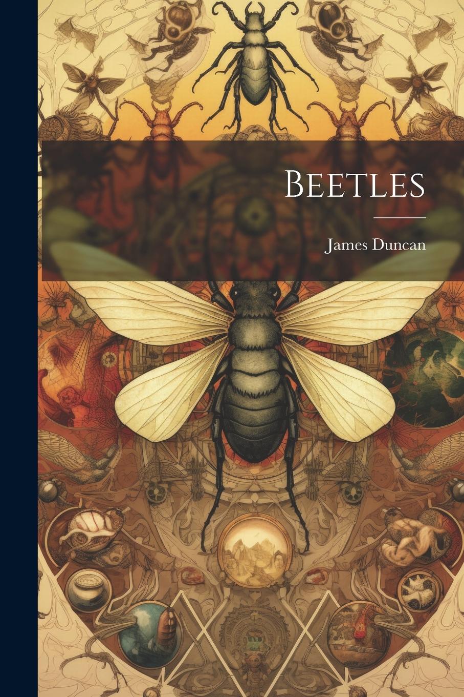 Vorderes Coverbild Beetles