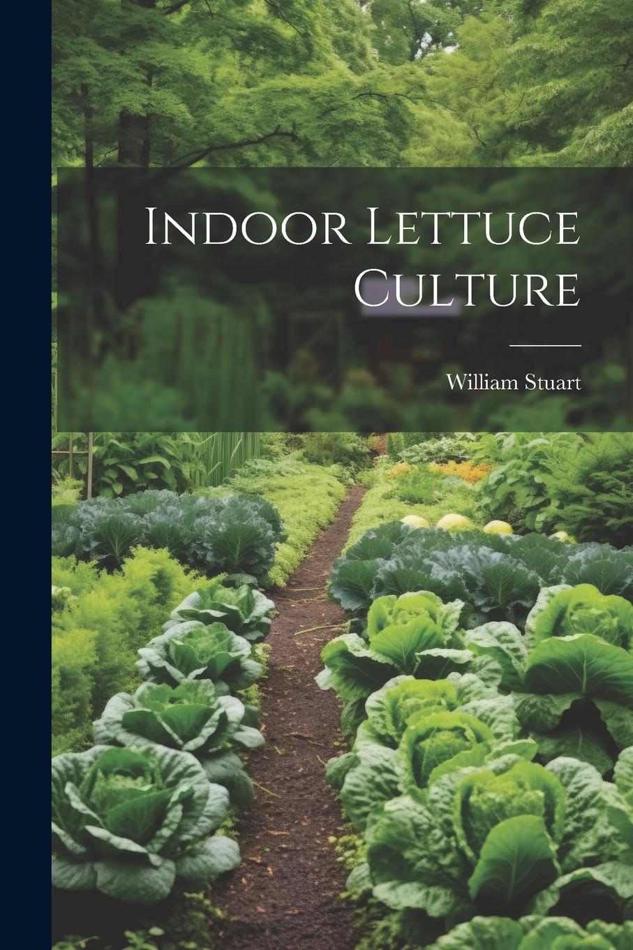 Vorderes Coverbild Indoor Lettuce Culture