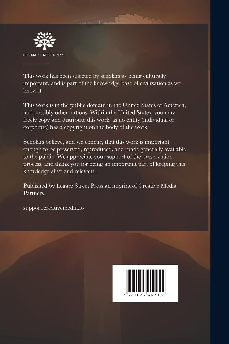 Rückseitencover De Vilde Fugle: Et Skuespil