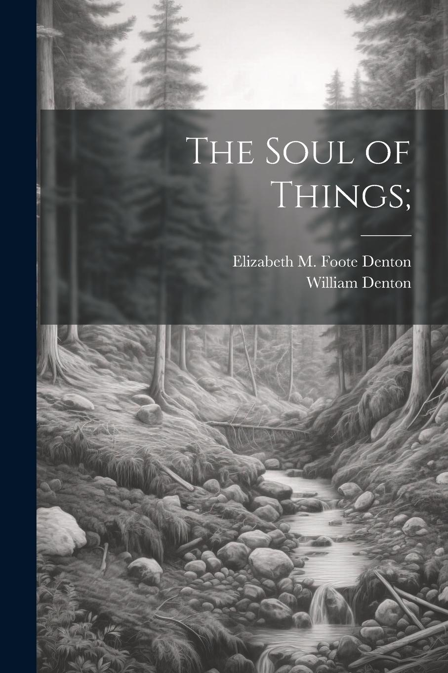Vorderes Coverbild The Soul of Things;