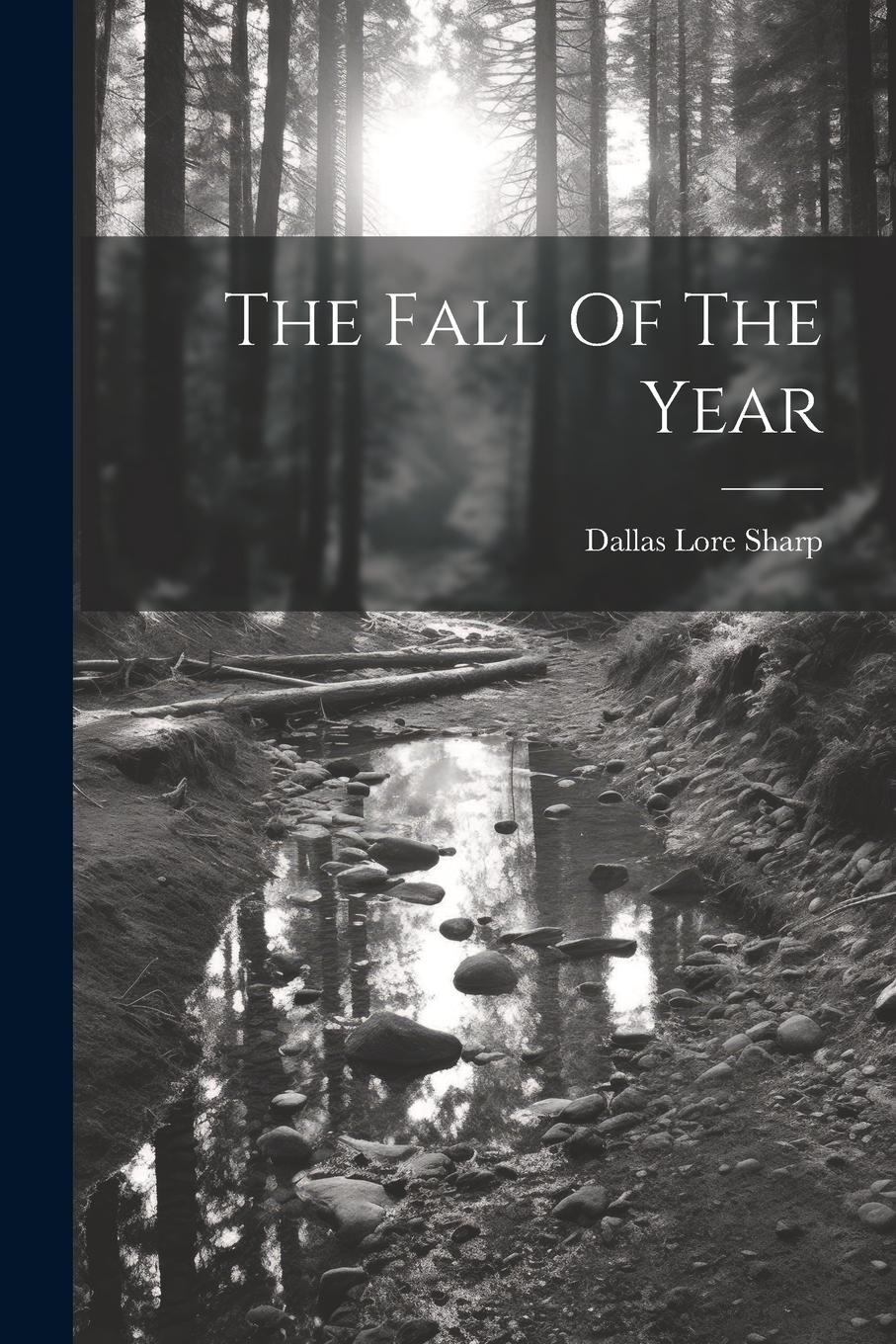 Vorderes Coverbild The Fall Of The Year