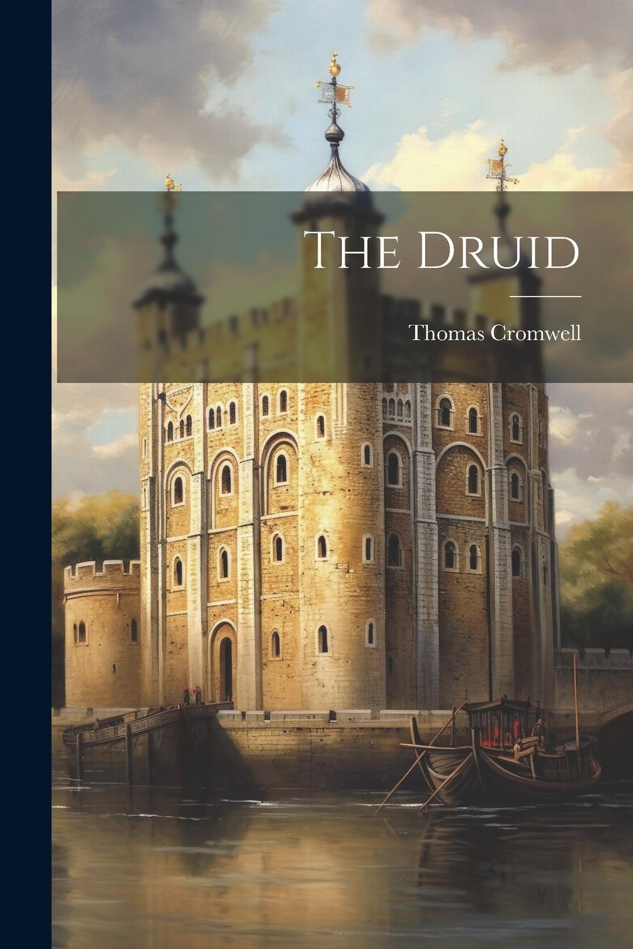 Vorderes Coverbild The Druid