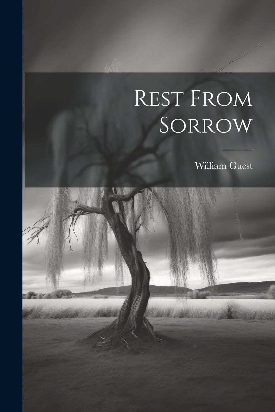 Vorderes Coverbild Rest From Sorrow