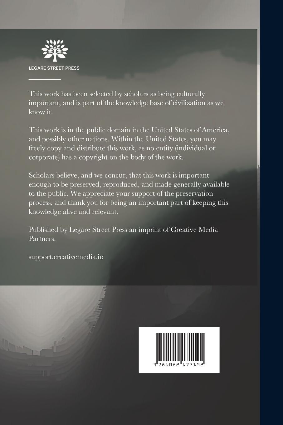 Rückseitencover The House in Demetrius Road