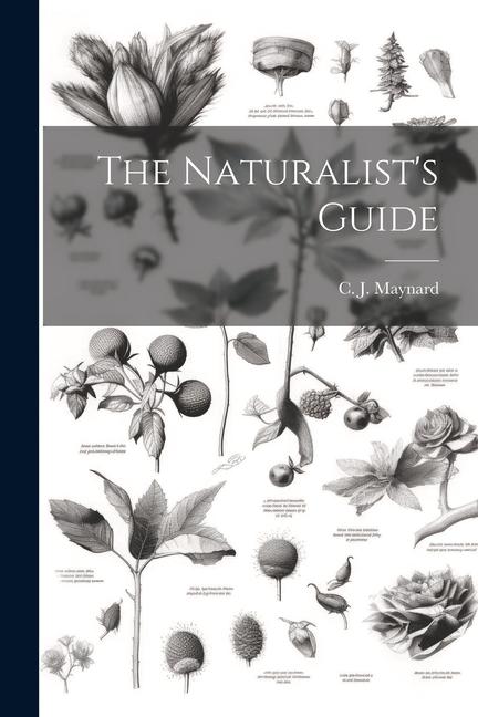 Vorderes Coverbild The Naturalist's Guide