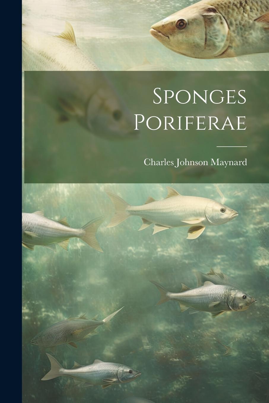 Vorderes Coverbild Sponges Poriferae