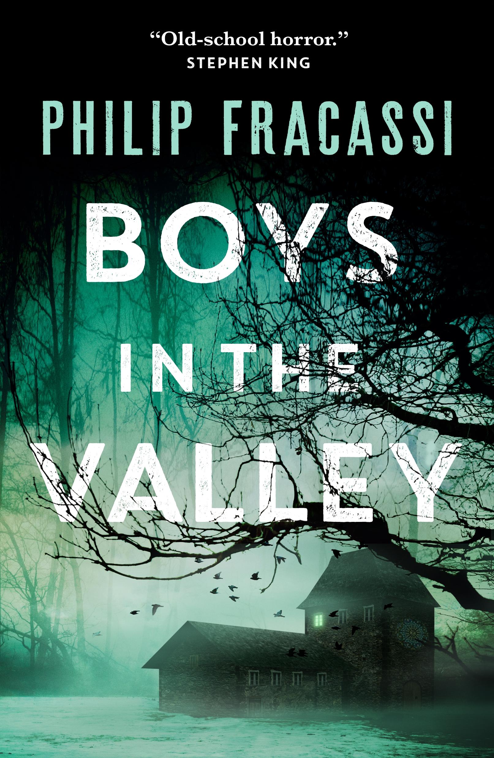 Vorderes Coverbild Boys in the Valley