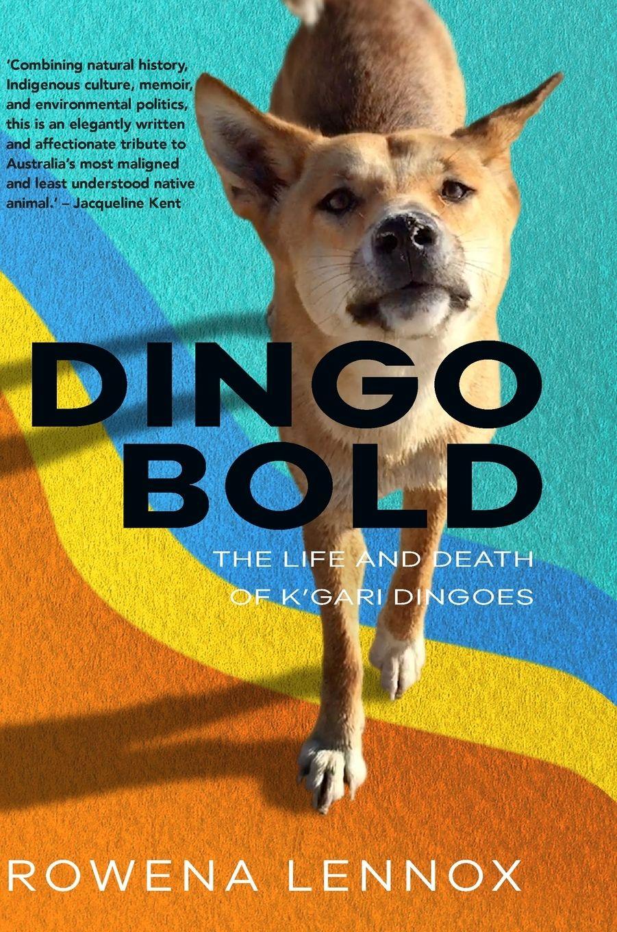 Vorderes Coverbild Dingo Bold