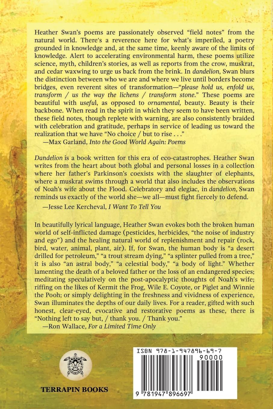 Rückseitencover dandelion